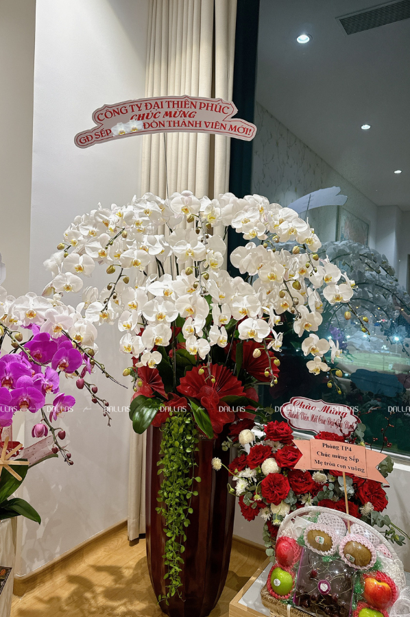 Chậu Hoa Lan Hồ Điệp Trắng 15 Cành (Đ15-TR1/09/CP)