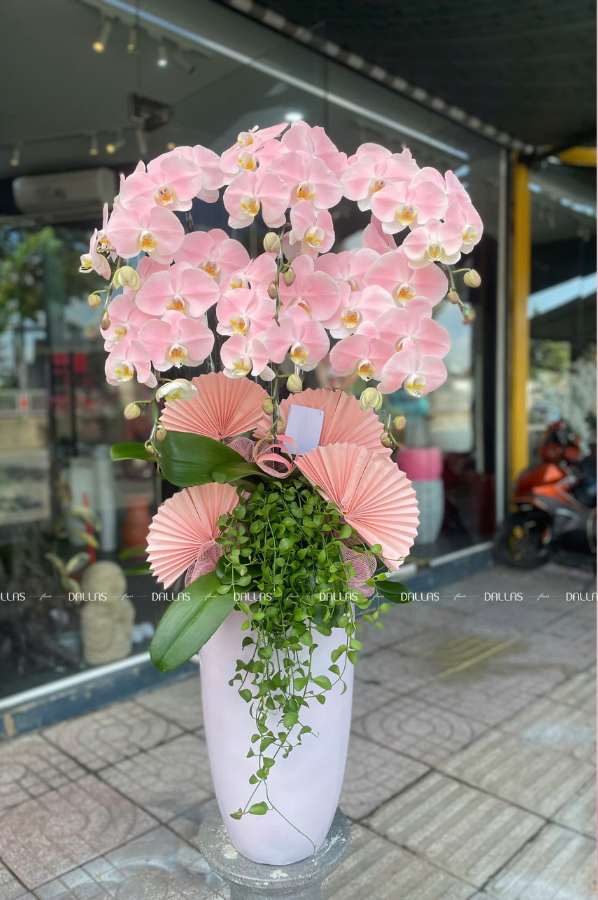 Chậu Lan Hồ Điệp Hồng Pastel Signature 6 Cành (Đ6-NH1/03) Chậu Lan Hồ Điệp Hồng Pastel Signature 6 Cành (Đ6-NH1/03)