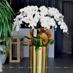 Chậu Hoa Lan Hồ Điệp Trắng 15 Cành (Đ15-TR1/04/CP)