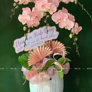 Chậu Lan Hồ Điệp Hồng Pastel 5 Cành (Đ5-NH1/04)