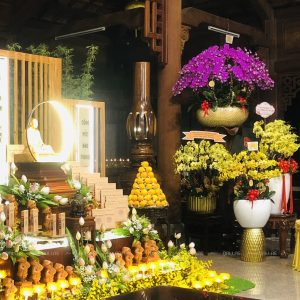 Chậu Lan Hồ Điệp Vàng 20 Cành (Đ20-V1/03)