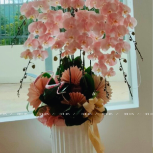 Chậu Lan Hồ Điệp Hồng Pastel 8 Cành (Đ8-NH1/04)