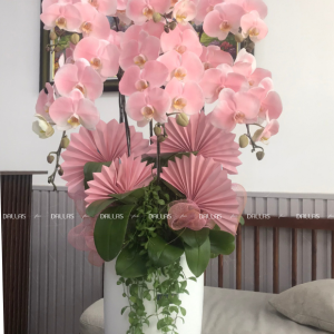 Chậu Lan Hồ Điệp Hồng Pastel Signature 6 Cành (Đ6-NH1/02)