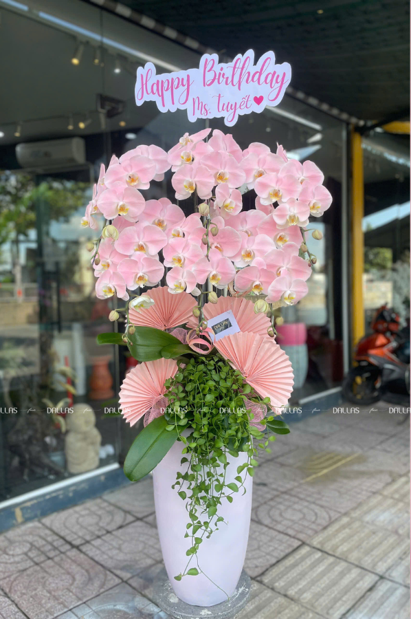 Chậu Lan Hồ Điệp Hồng Pastel Signature 6 Cành (Đ6-NH1/03) Chậu Lan Hồ Điệp Hồng Pastel Signature 6 Cành (Đ6-NH1/03)