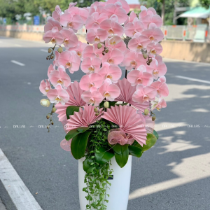 Chậu Lan Hồ Điệp Hồng Pastel Signature 6 Cành (Đ6-NH1/02)