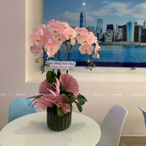 Chậu Lan Hồ Điệp Hồng Pastel 3 Cành (Đ3-NH1/01)