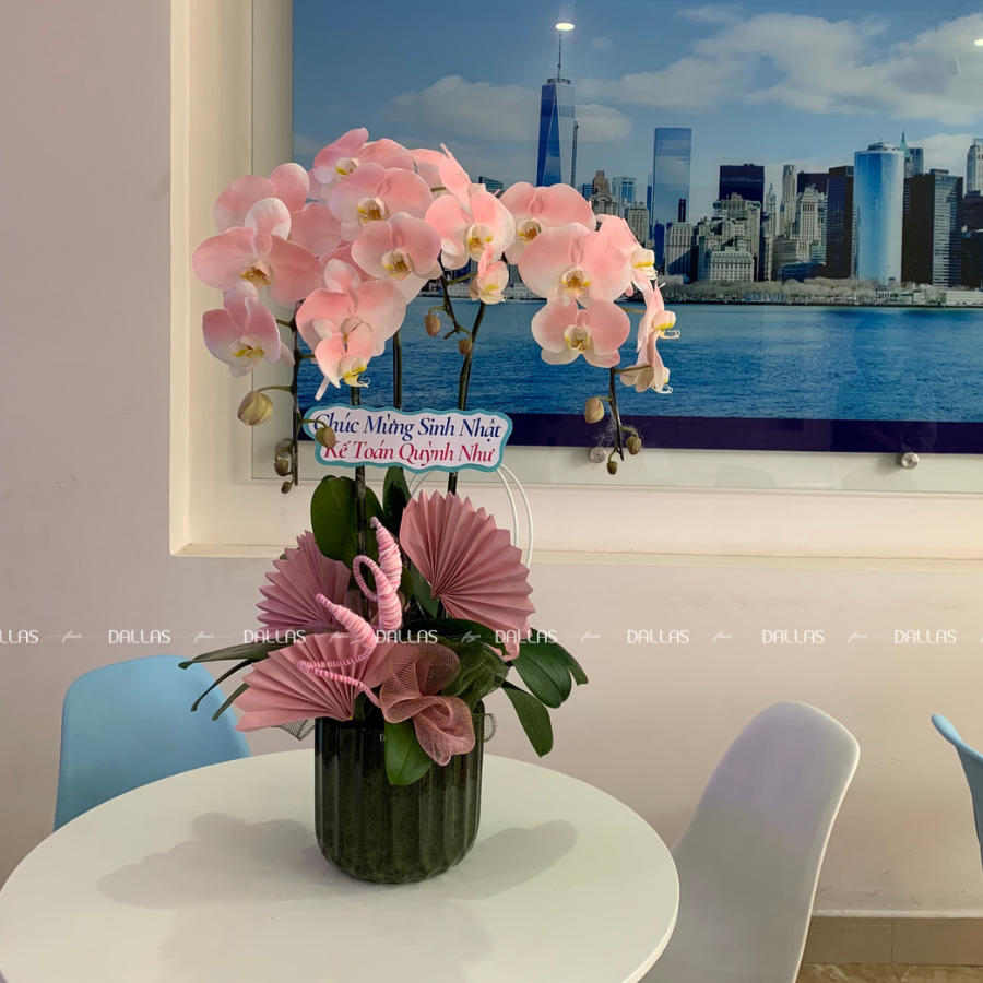 Chậu Lan Hồ Điệp Hồng Pastel 3 Cành (Đ3-NH1/01) Chậu Lan Hồ Điệp Hồng Pastel 3 Cành (Đ3-NH1/01)