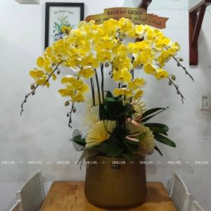 Chậu Lan Hồ Điệp Màu Vàng Gold 8 Cành (Đ8-NV1/01)