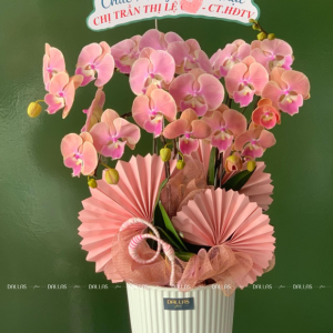 Chậu Lan Hồ Điệp Mini Hồng 6 Cành Đôi (M3-H2/04)