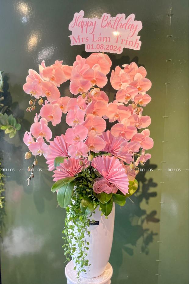 Chậu Lan Hồ Điệp Hồng Pastel Signature 6 Cành (Đ6-NH1/02) Chậu Lan Hồ Điệp Hồng Pastel Signature 6 Cành (Đ6-NH1/02)