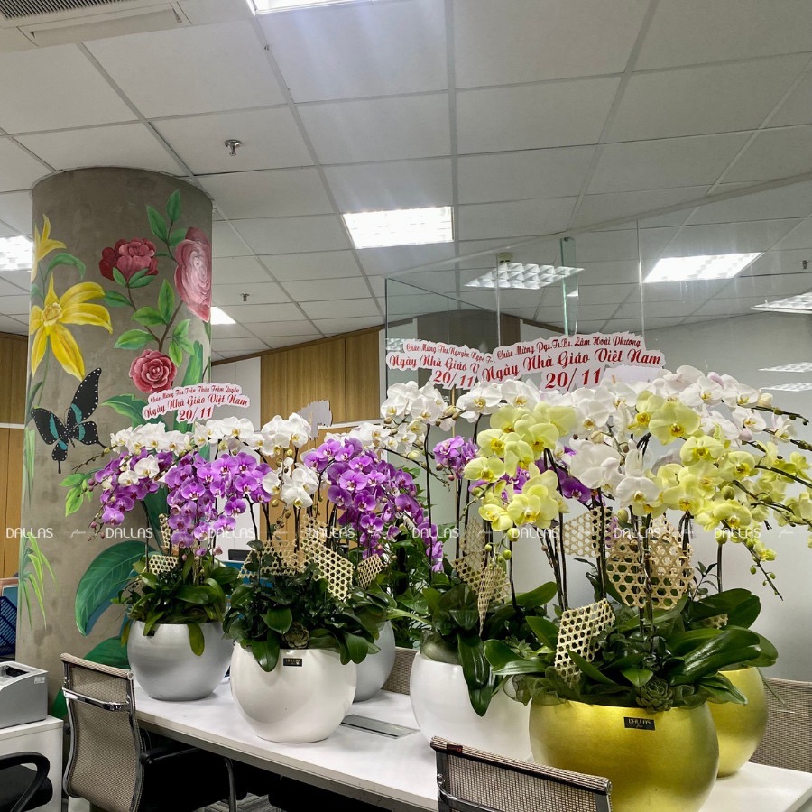 HIU - Hoa Lan Hồ Điệp Chúc Mừng Ngày Nhà Giáo Việt Nam