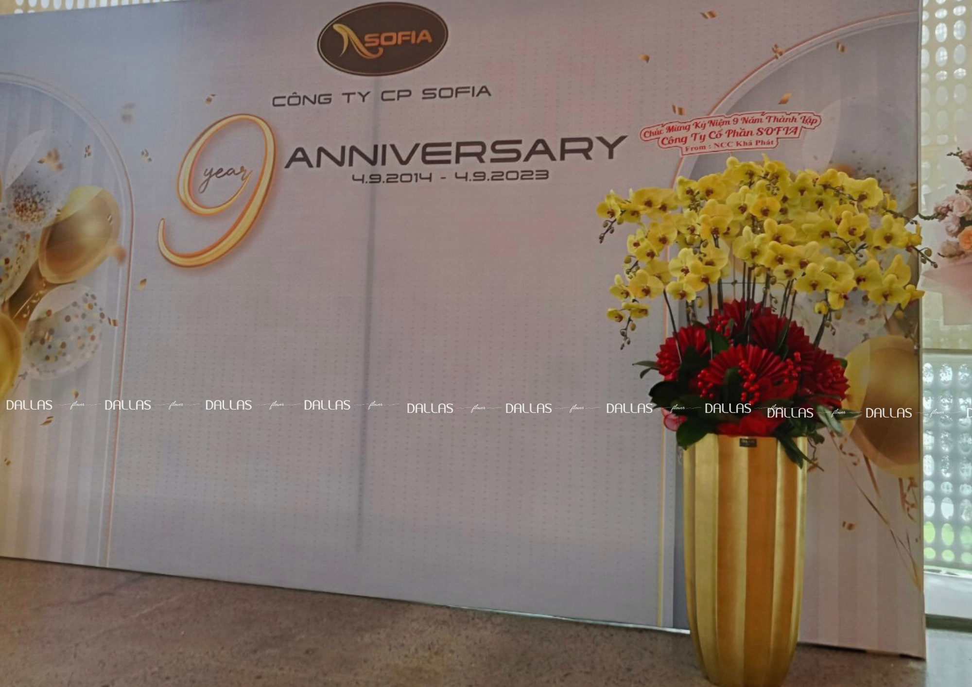 Chậu Hoa Lan Hồ Điệp Chúc Mừng 9 Năm Thành Lập Công Ty SOFIA