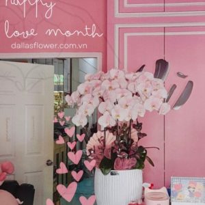 Chậu Lan Hồ Điệp Hồng Pastel 8 Cành Đôi (Đ4-NH2/01)