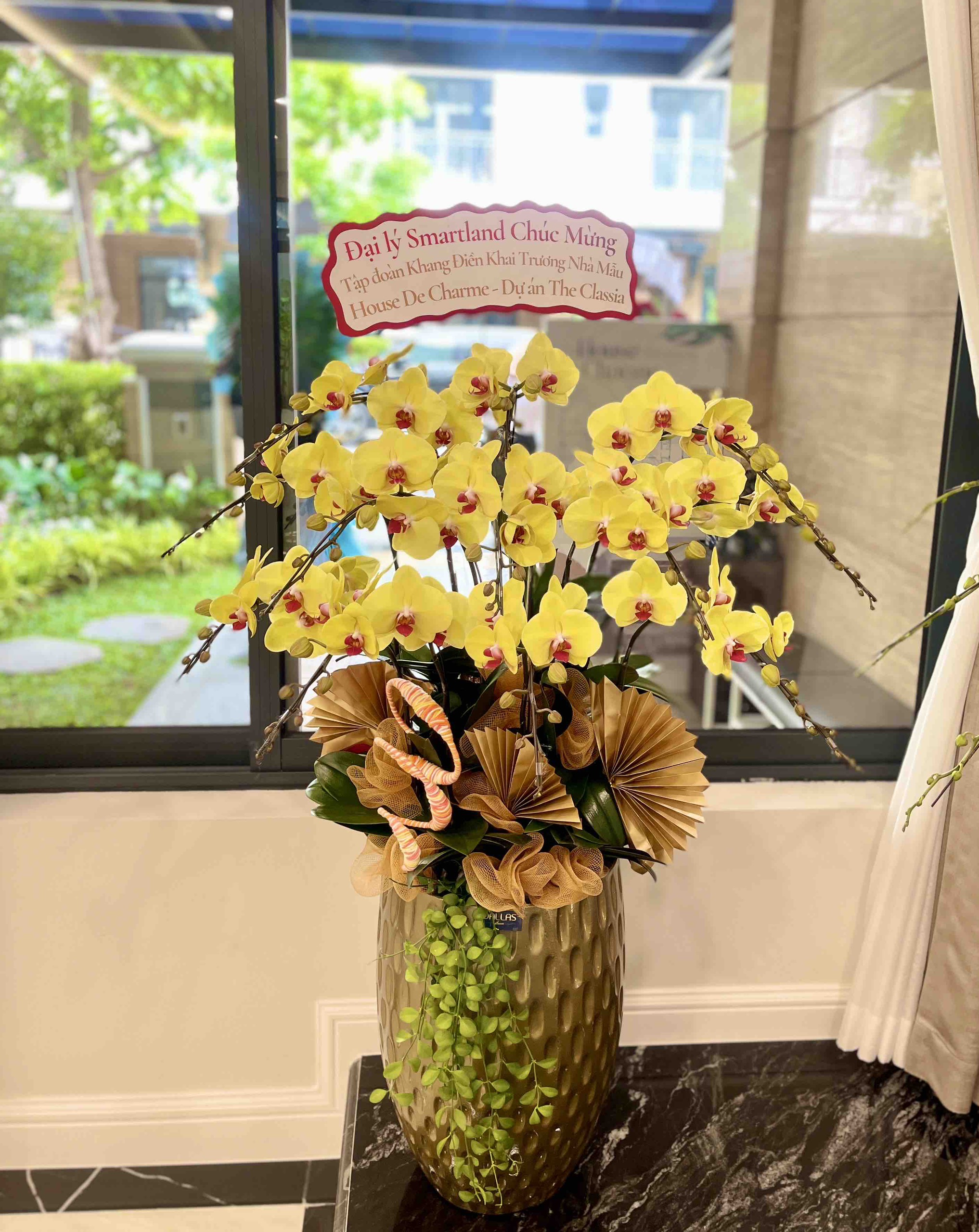 SMARTLAND - Chậu Hoa Lan Hồ Điệp Chúc Mừng Khai Trương Nhà Mẫu The Classia Khang Điền