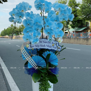 Chậu Lan Hồ Điệp Màu Xanh Dương 6 Cành (Đ6-NX1/03)