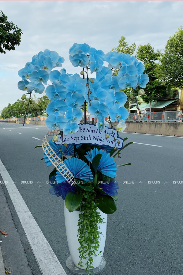 Chậu Lan Hồ Điệp Màu Xanh Dương 6 Cành (Đ6-NX1/03) Chậu Lan Hồ Điệp Màu Xanh Dương 6 Cành (Đ6-NX1/03)