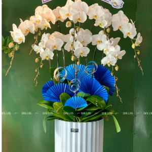 Chậu Lan Hồ Điệp Trắng 8 Cành (Đ8-TR1/04)