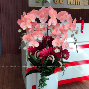 Chậu Lan Hồ Điệp Phun Sơn Màu Cam Đào 5 Cành (Đ5-NC1/01)