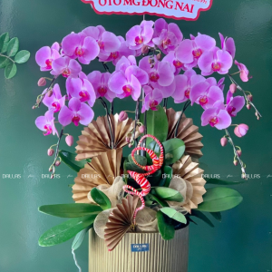 Chậu Lan Hồ Điệp Hồng 6 Cành (Đ6-H1/02)