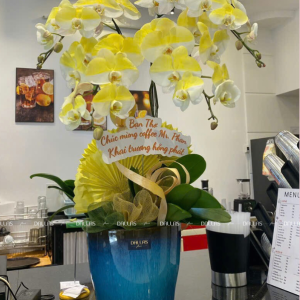 Chậu Lan Hồ Điệp Xịt Màu Vàng Gold 4 Cành (Đ4-NV1/01)
