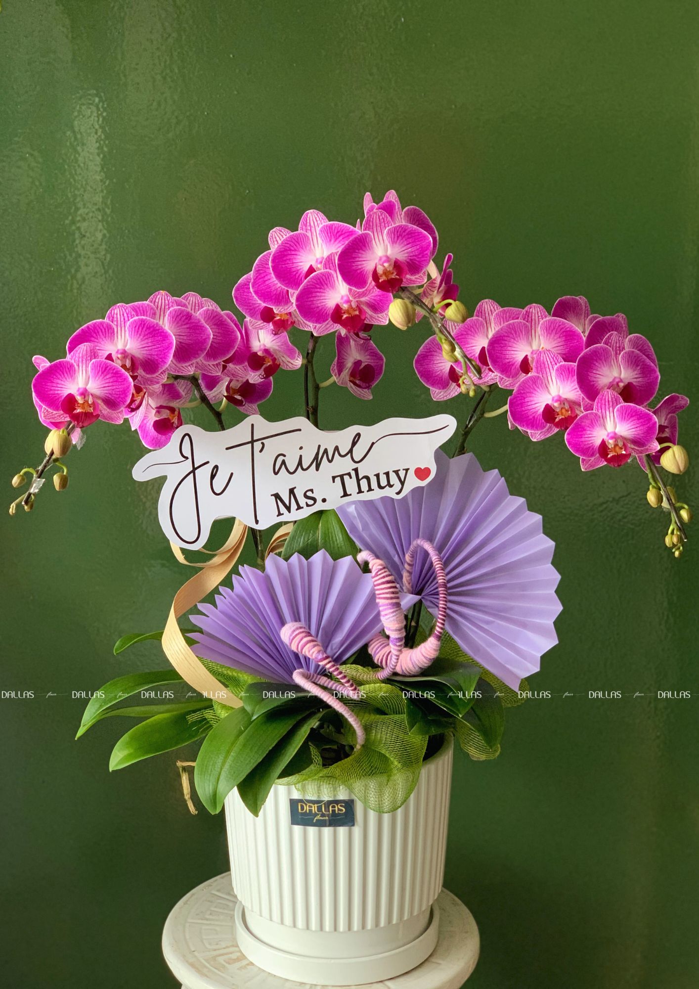 Chậu Lan Hồ Điệp Tím 3 Cành (T3-TI1/01) Chậu Lan Hồ Điệp Tím 3 Cành (T3-TI1/01)