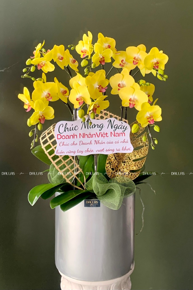 Chậu Lan Hồ Điệp Vàng 6 Cành (Đ6-V1/01) Chậu Lan Hồ Điệp Vàng 6 Cành (Đ6-V1/01)