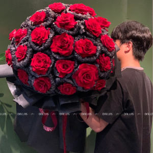 Bó Hoa Hồng Đỏ Ecuador 30 Bông Siêu To -(B02/30)