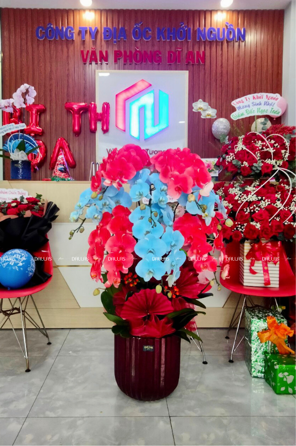 Chậu Lan Hồ Điệp Xịt Màu 8 Cành (Đ8-NM1/01)