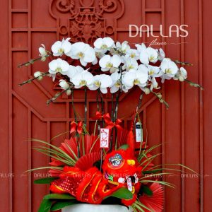 Chậu Lan Hồ Điệp Trang Trí Chủ Đề Trung Thu - 8 Cành Trắng (Đ8-TR1/03)