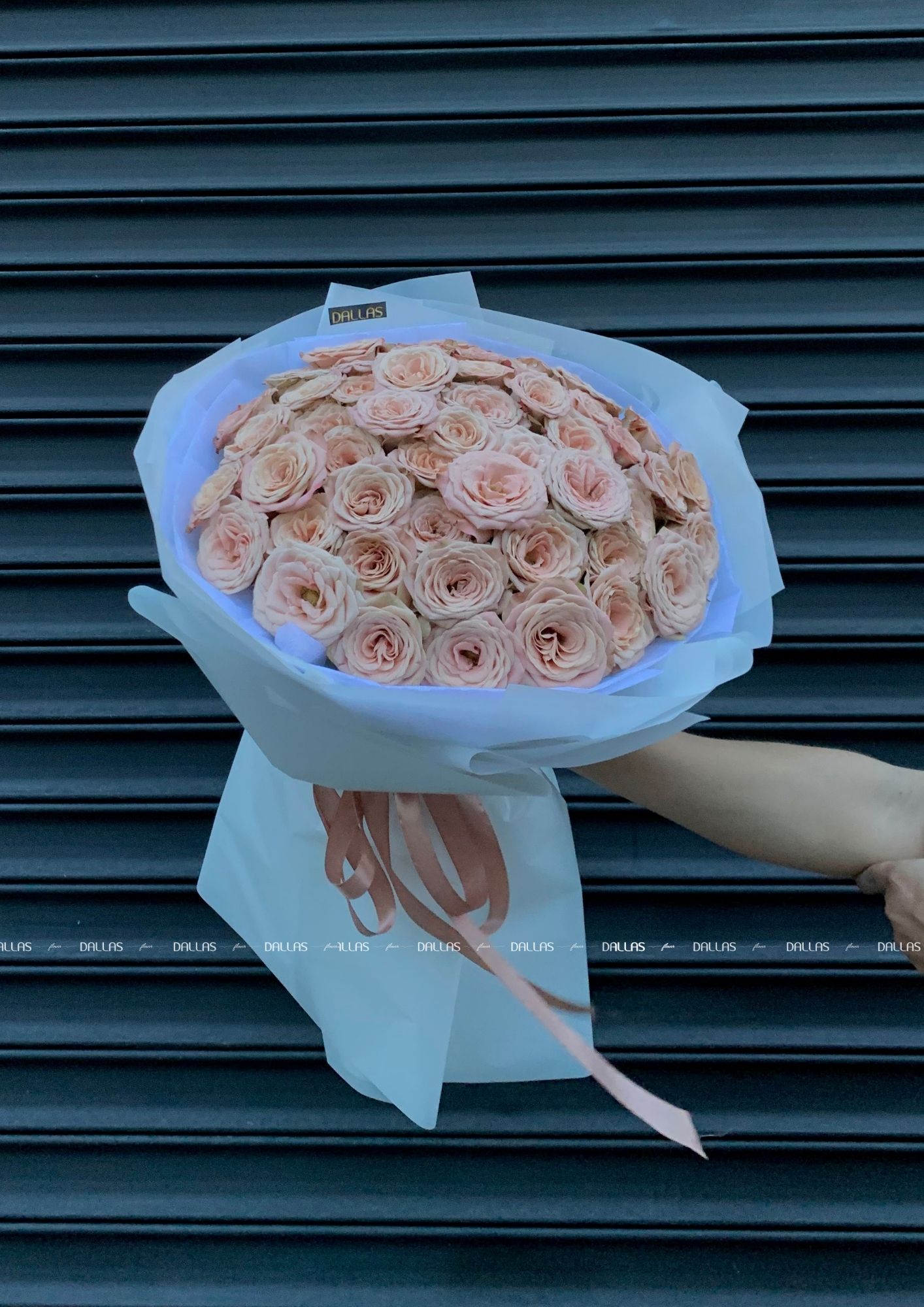 Bó Hoa Hồng Cappuccino 55 Bông (B16-W55) Bó Hoa Hồng Cappuccino 55 Bông (B16-W55)