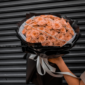 Bó Hoa Hồng Cappuccino 55 Bông (B09-55)