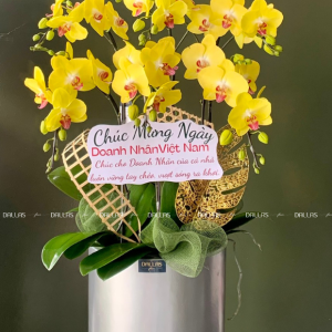 Chậu Lan Hồ Điệp Vàng 6 Cành (Đ6-V1/01)