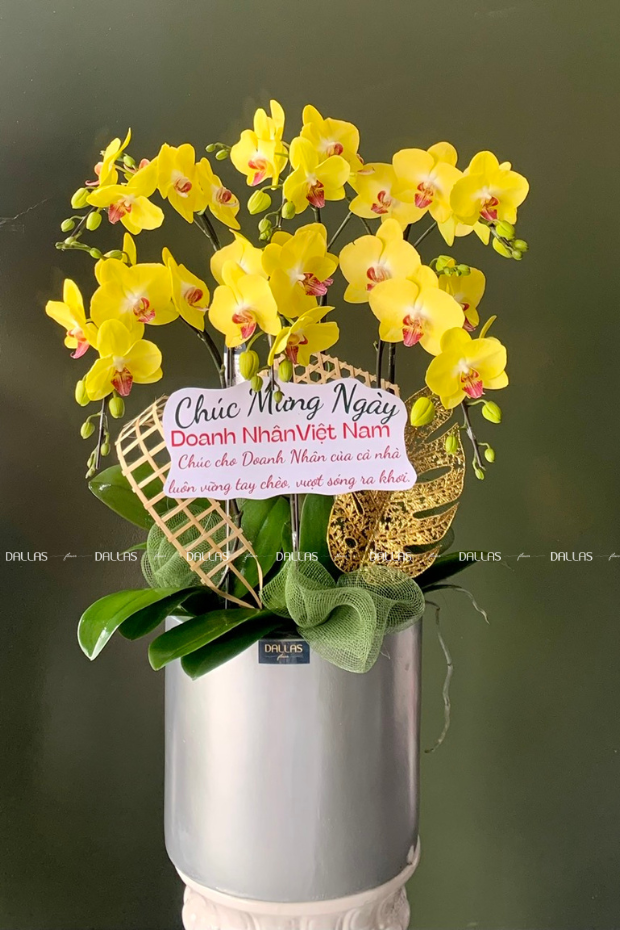 Chậu Lan Hồ Điệp Vàng 6 Cành (Đ6-V1/01) Chậu Lan Hồ Điệp Vàng 6 Cành (Đ6-V1/01)