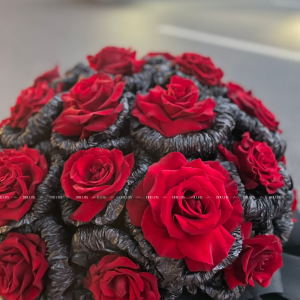 Bó Hoa Hồng Đỏ Ecuador 30 Bông Siêu To -(B02/30)