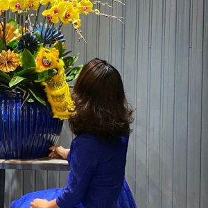 Chậu Lan Hồ Điệp Trang Trí Chủ Đề Trung Thu - 20 cành (Đ20-V1/01)