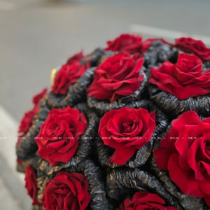 Bó Hoa Hồng Đỏ Ecuador 30 Bông Siêu To -(B02/30)