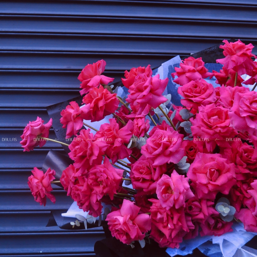 Bó Hoa Hồng Pink Floyd 60 Bông Siêu To (B11-60) Bó Hoa Hồng Pink Floyd 60 Bông Siêu To (B11-60)