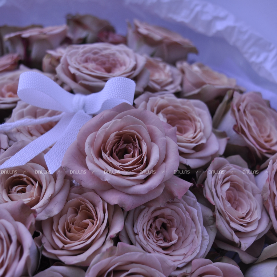 Bó Hoa Hồng Cappuccino 55 Bông (B10-55) Bó Hoa Hồng Cappuccino 55 Bông (B10-55)