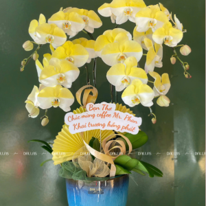 Chậu Lan Hồ Điệp Xịt Màu Vàng Gold 4 Cành (Đ4-NV1/01)
