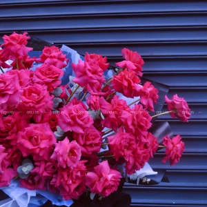 Bó Hoa Hồng Pink Floyd 60 Bông Siêu To (B11-60)