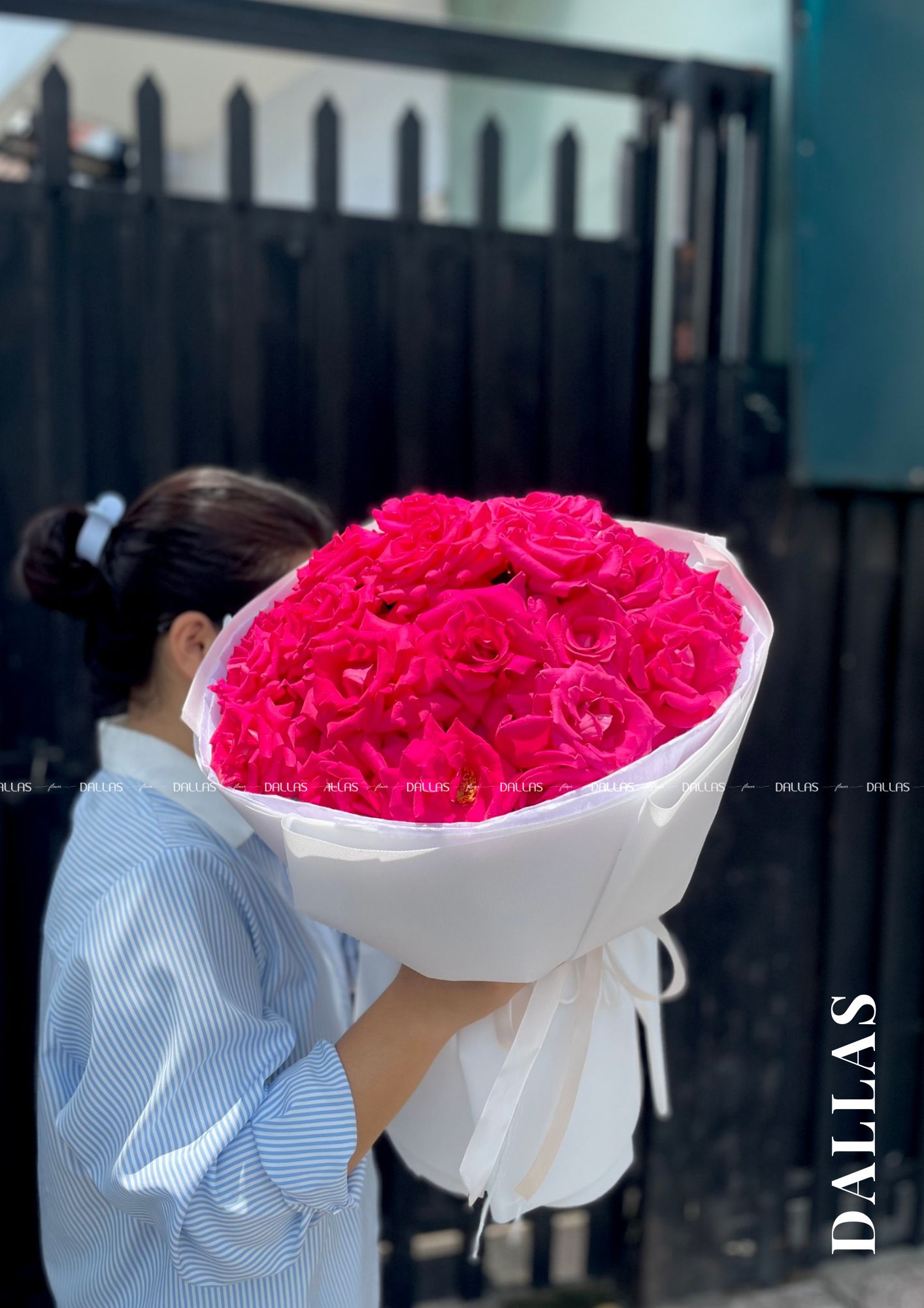 Bó Hoa Hồng Pink Floyd (B03) Bó Hoa Hồng Pink Floyd (B03)