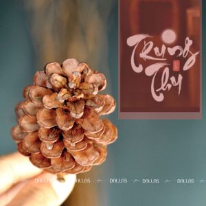 Chậu Lan Hồ Điệp Trang Trí Chủ Đề Trung Thu - 8 Cành Trắng (Đ8-TR1/03)