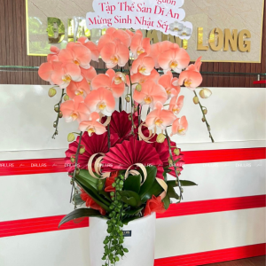 Chậu Lan Hồ Điệp Phun Sơn Màu Cam Đào 5 Cành (Đ5-NC1/01)