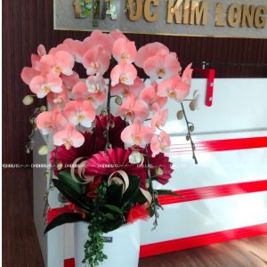 Chậu Lan Hồ Điệp Phun Sơn Màu Cam Đào 5 Cành (Đ5-NC1/01)