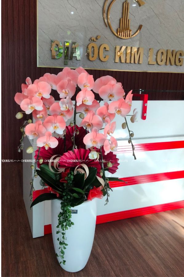 Chậu Lan Hồ Điệp Phun Sơn Màu Cam Đào 5 Cành (Đ5-NC1/01)