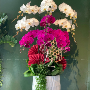 Chậu Lan Hồ Điệp Trắng Tím 9 Cành (Đ9-Mix1/13)