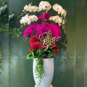 Chậu Lan Hồ Điệp Trắng Tím 9 Cành (Đ9-Mix1/13)