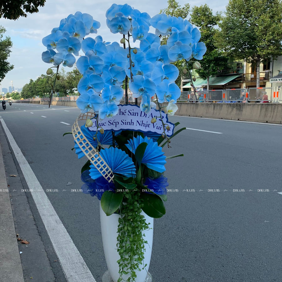 Chậu Lan Hồ Điệp Màu Xanh Dương 6 Cành (Đ6-NX1/03) Chậu Lan Hồ Điệp Màu Xanh Dương 6 Cành (Đ6-NX1/03)