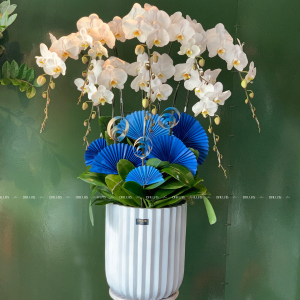 Chậu Lan Hồ Điệp Trắng 8 Cành (Đ8-TR1/04)