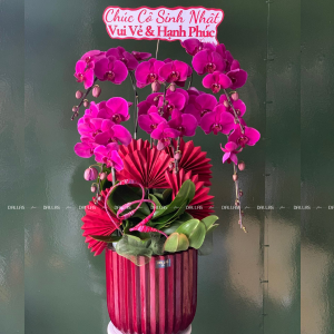 Chậu Lan Hồ Điệp Tím 6 Cành (Đ6-TI1/01)